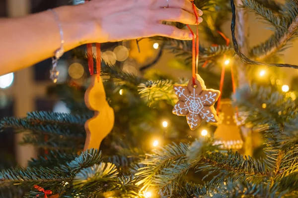 La mano femminile appende un fiocco di neve di pan di zenzero sull'albero di Natale — Foto Stock