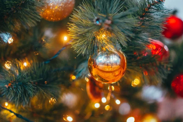 Blízký vánoční větve s dekoracemi — Stock fotografie