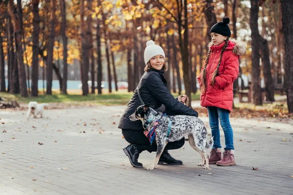 Feliz madre y su hija jugando con el perro en el parque de otoño — Foto de Stock