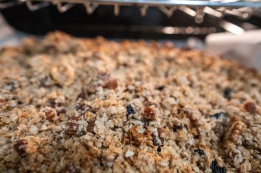Elektrikli fırında pişirmek için granola. Sağlıklı kahvaltı için basit malzemeler konsepti