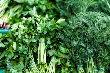 Dill ve maydanoz. Yararlı bitkiler kapanıyor.