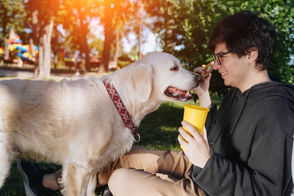 Mężczyzna karmi swojego psa przekąskami za posłuszeństwo w parku — Zdjęcie stockowe