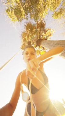 Havalı plaj atmosferlerini tecrübe edin, yaz için güneş gözlüğü, parlak güneş ve ikonik palmiye ağaçlarını vurgulayın.