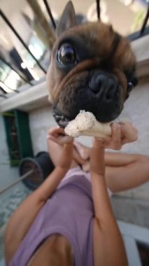 Güneşli bir açık havada, neşeli bir köpek ve sevgili sahibi lezzetli bir kemik ikramı üzerine özel bir bağ kurar.