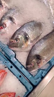 Lezzetli yemekler ve enfes mutfak sunumları yapmak için ideal taze deniz ürünleri seçimi.