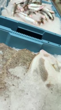 Buzda yeni yakalanmış balıkların canlı bir gösterisi. İstekli müşteriler için deniz ürünleri sergileniyor.