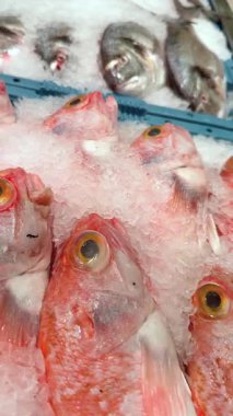 Canlı bir buz üstünde taze balık gösterisi, deniz ürünleri pazarında bulunan çeşitliliğin sergilenmesi, alıcıları cezbediyor.