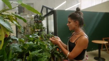 Şık bir serada canlı bitkileriyle ilgilenen bir kadın bahçe işlerine olan tutkusunu sergiliyor.