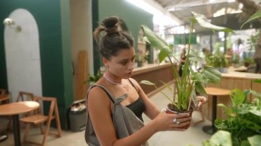 Genç bir kadın şık, modaya uygun bir fabrikada güzel düzenlenmiş bir saksı bitkisini dikkatle inceliyor.