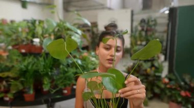 Genç bir kadın yeşillik ve yaşam dolu canlı bir bahçe merkezinde güzel bir bitkiye ilgi gösteriyor.