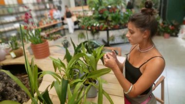 Genç bir kadın gür yeşilliklerle dolu canlı bir fidanlıkta gelişmekte olan bitkileriyle dikkatlice ilgileniyor.