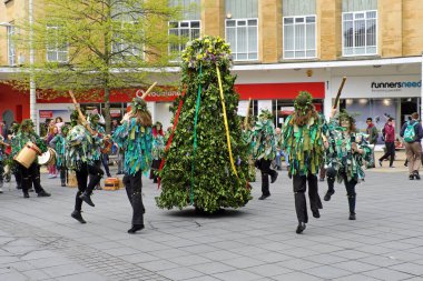 BRISTOL, İngiltere - 7 Mayıs 2016: Yeşildeki Jack ve katılımcıları Mayıs Bayramı 'nı kutlamak için şehir sokaklarında yürüdüler.