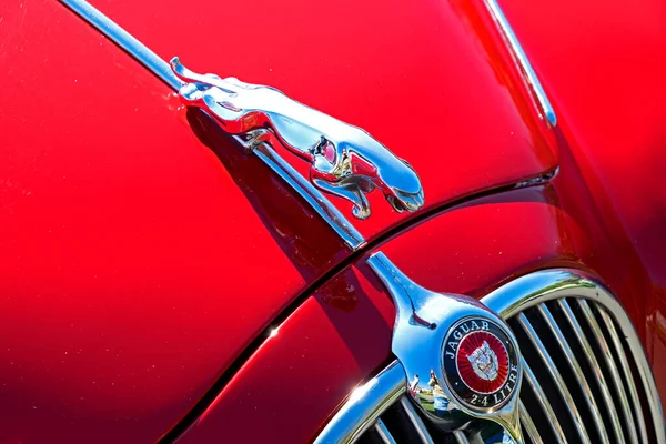 2.4 litrelik Jaguar bar arabasının kaput ve radyatör ızgarasının detayları.