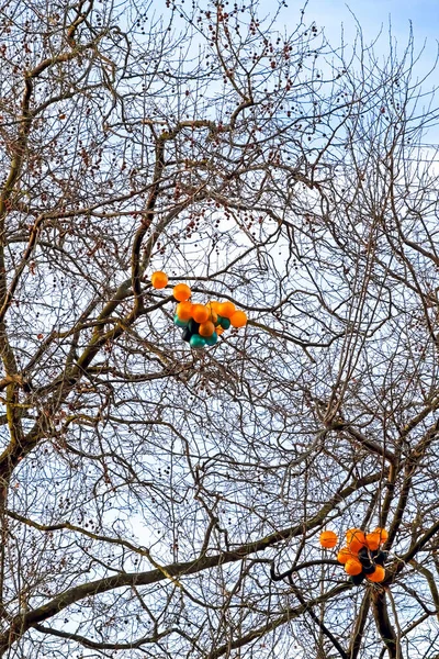Bir ağacın tepesinde kısmen sönmüş balonlar.