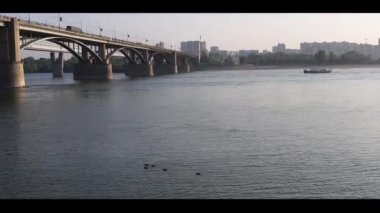 Ob nehri, köprünün altında bir gemi yüzüyor, kıyıya yakın, vahşi ördekler yüzüyor..