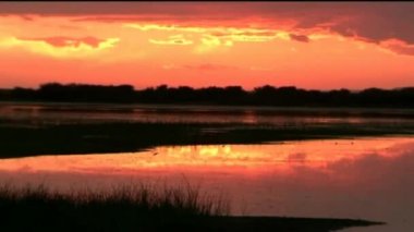 Gölün üzerinde akşam vakti, kum çullukları sığ sularda yürür ve beslenirler..