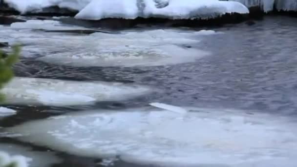Nehirdeki Bahar Erir — Stok video