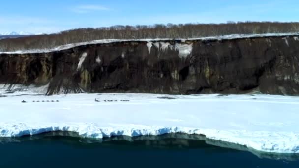 Costa Kamchatka Corridas Trenó Cão Competições São Realizadas — Vídeo de Stock