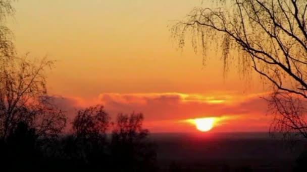 Soleil Rouge Couche Derrière Forêt Beau Coucher Soleil — Video