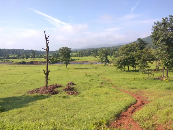 Tierra Verde Granja Natural Con Árboles Con Nubes Cielo Azul — Foto de Stock