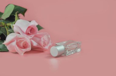 Pembe arka planda kadın parfümü. Sevgililer Günü hediyesi. Kartpostal Pembe gül.