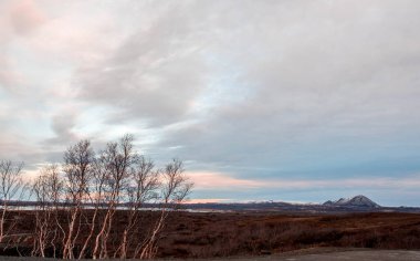 Dimmuborgir, İzlanda 'dan manzara. İzlanda 'daki Dimmuborgir, İzlanda' da Mvatn 'ın doğusunda yer alan olağanüstü şekillendirilmiş lav sahalarının geniş bir alanıdır..