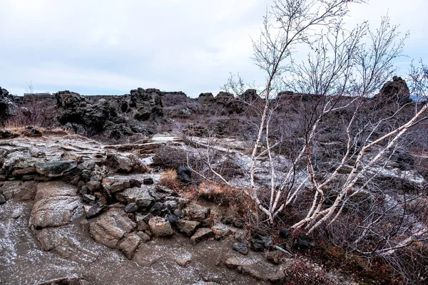 冰岛迪姆博尔吉尔的风景 冰岛的迪姆博尔吉尔是冰岛Mvatn以东的一个巨大的熔岩区 — 图库照片