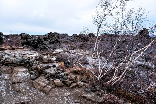 Dimmuborgir Zlanda Manzara Zlanda Daki Dimmuborgir Zlanda Mvatn Doğusunda Yer — Stok fotoğraf