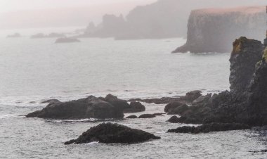 İzlanda 'daki Arnarstapi uçurumları