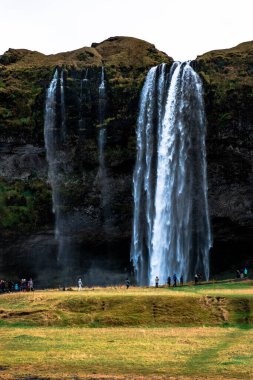 Tüm İzlanda 'daki en güzel şelalelerden birini denize dökün.