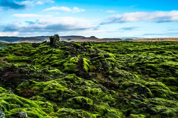 Rozlehlá Oblast Eldhraun Islandu Pokrytá Vlněným Mechem — Stock fotografie