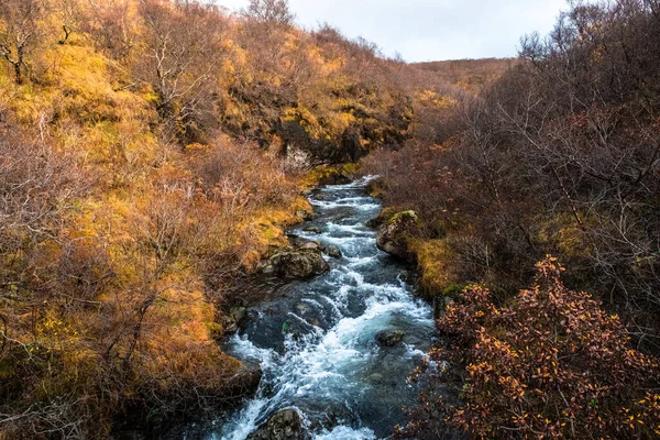 Rio Que Desce Svartifoss Uma Cachoeira Espetacular Parque Nacional Skaftafell — Fotografia de Stock