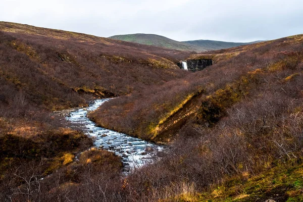 Úton Svartifoss Vízesés Vagy Fekete Vízesés Felé Vatnjokull Nemzeti Parkban — Stock Fotó