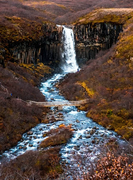 Svartifoss Une Cascade Spectaculaire Dans Parc National Skaftafell Sud Islande — Photo