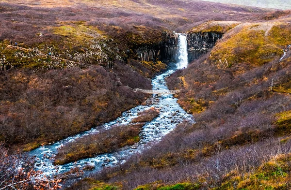 Svartifoss Une Cascade Spectaculaire Dans Parc National Skaftafell Sud Islande — Photo