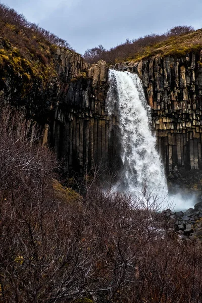 Svartifoss Une Cascade Spectaculaire Dans Parc National Skaftafell Sud Islande — Photo