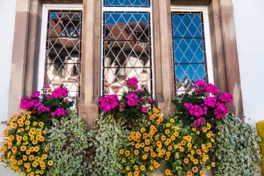 Fransa 'nın Colmar, Alsace köylerindeki tüm pencerelerde çiçekler
