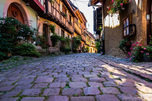 Eguisheim Fransa 'da Alsace' de bir köy, eski mimari, pencerelerde çiçekler ve renkli cepheler.