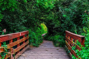 Yedek Naturelle La petite Camargue Alsacienne, Alsace, Fransa