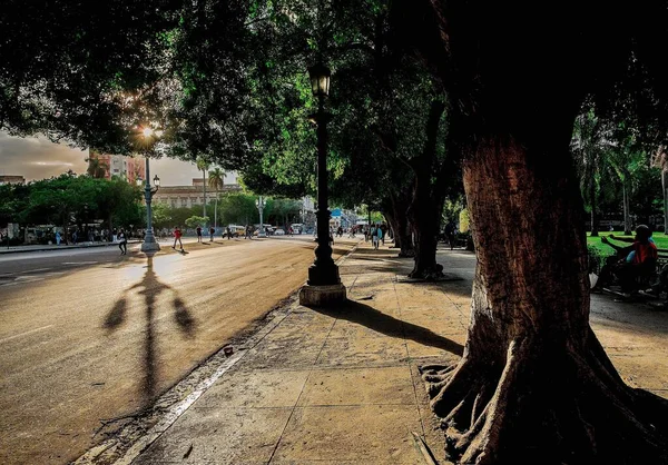 Avenue Havana Cuba Sunset — Stock Photo, Image