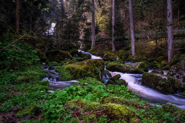 Vízesések Tribergben Fekete Erdőben Németországban — Stock Fotó