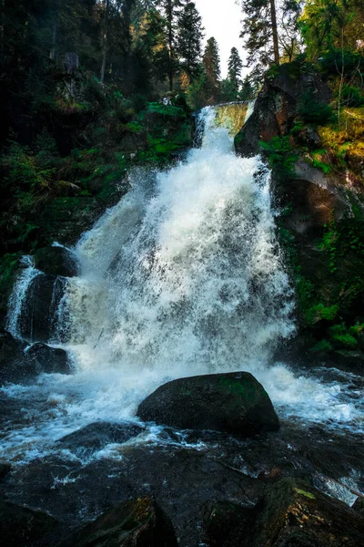 Cascadas Triberg Selva Negra Alemania —  Fotos de Stock