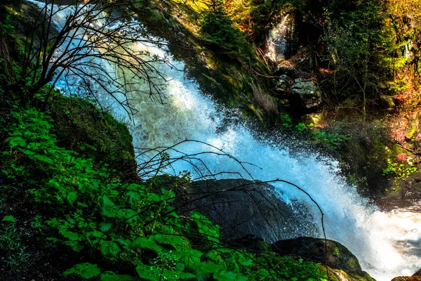 Vízesések Tribergben Fekete Erdőben Németországban — Stock Fotó