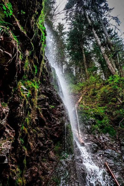 Small Waterfalls Ravine Black Forest Germany — Stock Photo, Image