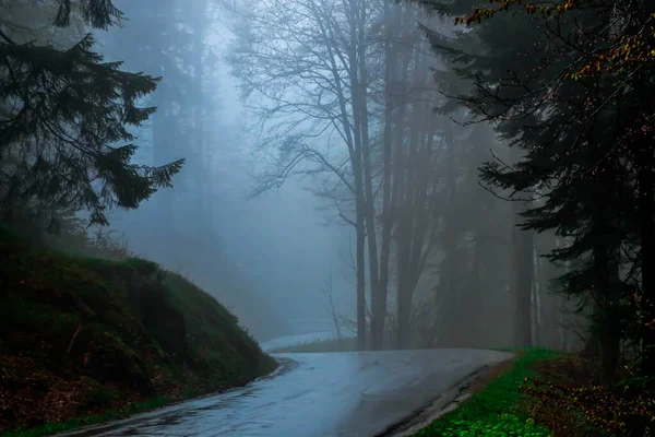 Nevoeiro Permanece Nas Montanhas Floresta Negra Alemanha Início Maio — Fotografia de Stock