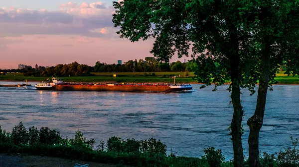Floden Rhen Från Neus Vid Solnedgången Tyskland — Stockfoto