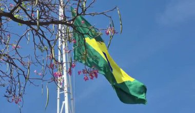 Rüzgarda dalgalanan bir Brezilya bayrağının videosu, mavi bir gökyüzünde, açan pembe bir ipe ağacının dallarıyla..