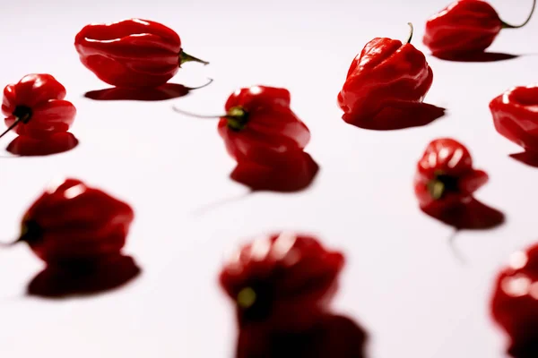 Beyaz arka planda gölgelerle aydınlatılmış kırmızı biber.