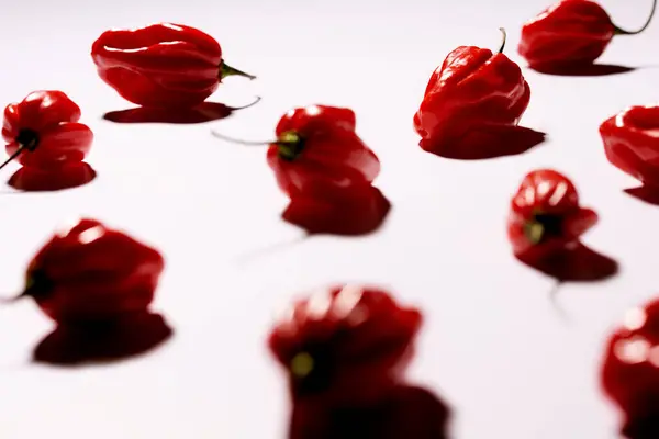 Beyaz arka planda gölgelerle aydınlatılmış kırmızı biber.