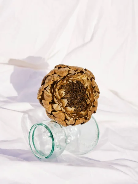 dried artichoke in a glass container on a white background with its shadow